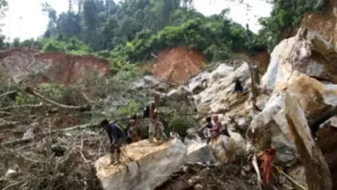 BNPB Sebut Lokasi Longsor di Solok Adalah Tambang Ilegal - GenPI.co