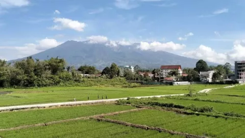 PVMG Sebut Aktivitas Gunung Marapi Meningkat Sejak 7 Oktober 2024 - GenPI.co