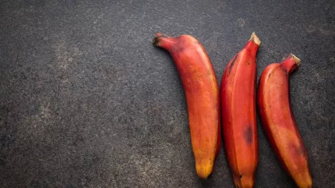 Pisang Merah Jadi Pilihan Cerdas untuk Mendapatkan Asupan Nutrisi Alami - GenPI.co