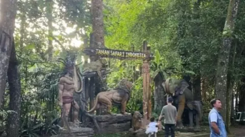 Taman Safari Indonesia Bantah Terkait Dugaan Pelanggaran HAM Mantan Pemain Sirkus - GenPI.co