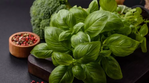 4 Manfaat Kemangi untuk Tubuh, Kaya Antioksidan dan Vitamin - GenPI.co