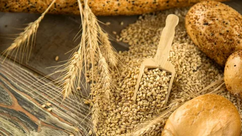 Gandum Utuh Kaya Nutrisi, Bantu Lawan Anemia dan Jaga Jantung - GenPI.co
