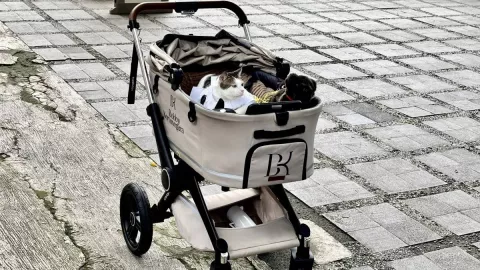 Bikin Gemas! Ikut Meriahkan Iduladha, Bobby Kertanegara Tampil Stylish Pakai Koko - GenPI.co