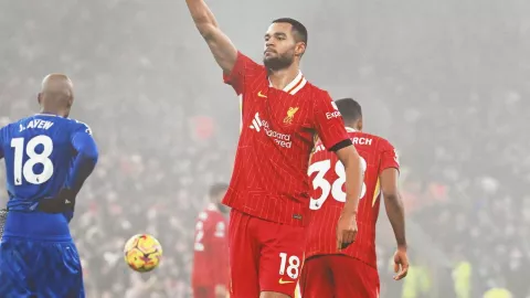 Disebut Hengkang ke Bayern Munchen, Cody Gakpo: Saya Fokus di Liverpool - GenPI.co