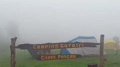 3 Kegiatan Menyenangkan di Camping Gayatri Puncak - GenPI.co