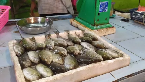 Dingkis, Ikan Khusus Perayaan Imlek Masyarakat Tionghoa Kepri - GenPI.co