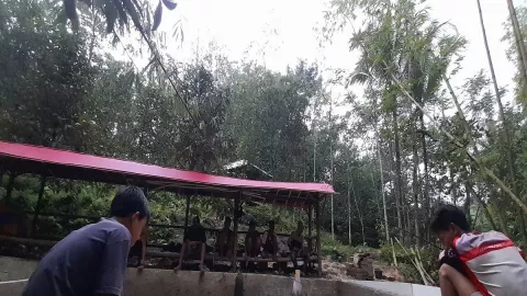 Sensasi Memancing di Tengah Hutan Ada di Kabupaten Bogor - GenPI.co