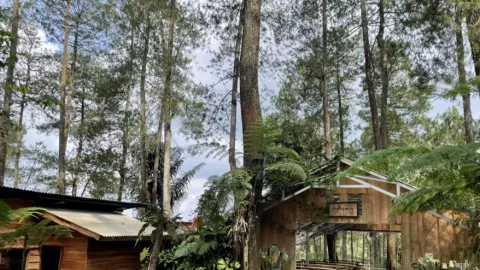 Sensasi Menikmati Kopi di Tengah Hutan Pinus Tasikmalaya, Yuk! - GenPI.co