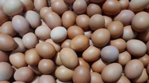 Harga Telur Melambung, Pedagang Kini Kehilangan Pembeli - GenPI.co