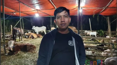 Penjual Hewan Kurban Mengaku Laris Manis Sebelum Iduladha - GenPI.co