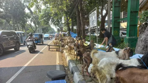 Larangan Berjualan di Trotoar, Penjual Hewan Kurban Protes - GenPI.co