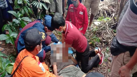 Tragis! Pria Karangasem Bali Tewas di Atas Pohon Kelapa - GenPI.co BALI