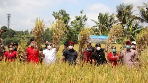 Pemkab Badung Optimalkan Sektor Pertanian Hulu ke Hilir - GenPI.co BALI