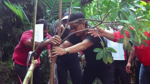 Proses Penghijauan Dilaksanakan Pemkab Badung Bali, Ini Tujuannya - GenPI.co BALI
