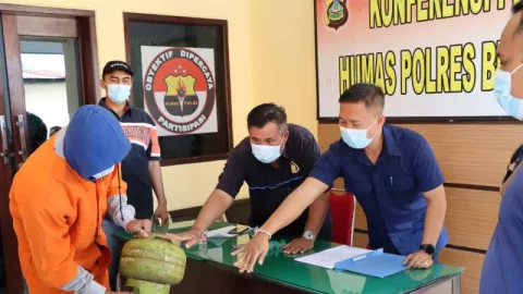 Pengoplos Gas LPG Buleleng Bali Nakal, Polisi Beber Keuntungannya - GenPI.co BALI