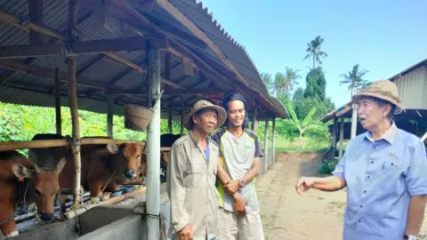 Bukan Pariwisata, Pastika Desak Warga Bali Beralih ke Pertanian - GenPI.co BALI