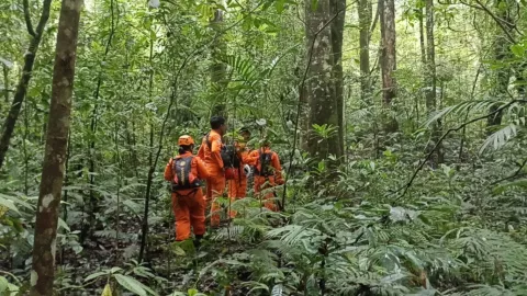 Pekak Satra Hilang di Hutan Tabanan, Tim SAR Bali Lakukan Ini - GenPI.co BALI