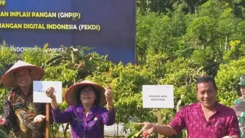 Kabar Baik Buat Ibu-Ibu, Perumda Buleleng Tambah Stok Cabai 300 Kilogram - GenPI.co BALI