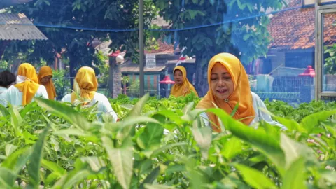 Teh Herbal Jadi Produk Unggulan Poktan Bensor Semarang - GenPI.co BALI