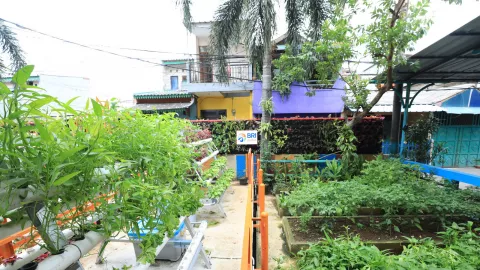 Eksplorasi Kampung Palm Eco Green Village Malang, Makin Asri Berkat Program BRInita - GenPI.co BALI