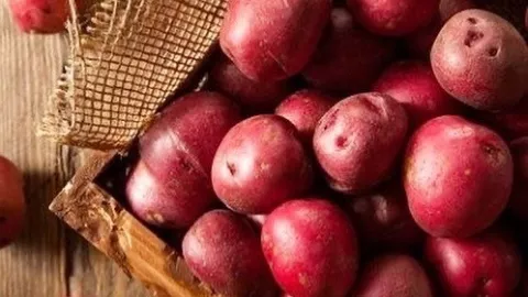 Ini Manfaat Tambahan Mengganti Kentang Biasa dengan Kentang Merah - GenPI.co BANTEN