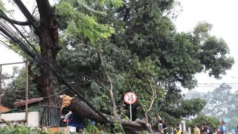Waspada Bencana, Diskominfo Kota Tangerang Bagikan Nomor Darurat - GenPI.co BANTEN