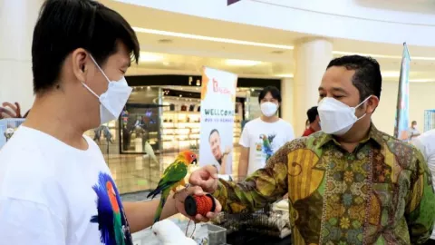 Pecinta Sugar Glider Beradu di Mall Alam Sutra, Simak Keseruannya - GenPI.co BANTEN