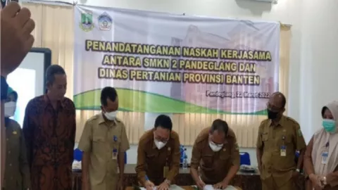 Distan Lebak Ajak SMKN 2 Pandeglang Jadi Produsen Benih Pisang - GenPI.co BANTEN