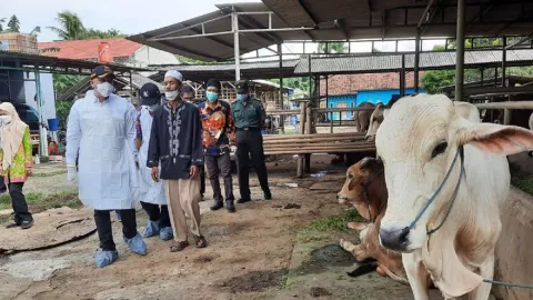 MUI Kabupaten Tangerang Imbau Warga Hati-hati Pilih Hewan Ternak - GenPI.co BANTEN