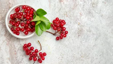 5 Manfaat Jus Cranberry untuk Kesehatan Tubuh, Wajib Coba - GenPI.co BANTEN