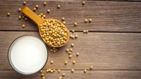 3 Manfaat Minum Susu Kedelai untuk Pasutri Sulit Dapat Anak - GenPI.co BANTEN