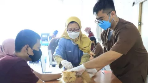 BPBD Kota Tangerang Siapkan Tim Khusus Tangani Rabies - GenPI.co BANTEN