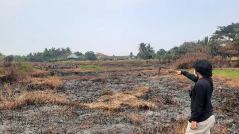 Kebakaran Lahan Gambut di Tangerang Berhasil Dipadamkan - GenPI.co BANTEN