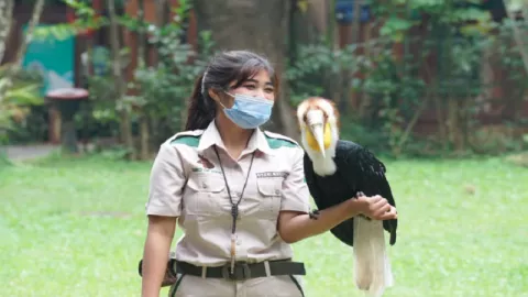 Pertunjukan Burung Endemik di TSI Bisa Jadi Sarana Edukasi Anak - GenPI.co