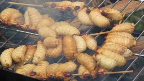 Sate Ulat Kuliner Ekstrem dari Papua, Berani Mencoba? - GenPI.co