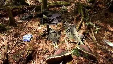 Aokigahara, Hutan Horor Tempat Populer untuk Bunuh Diri - GenPI.co
