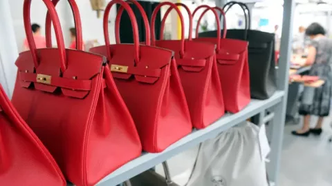 Investasi Tas Hermes Birkin Ternyata Lebih Untung dari Emas - GenPI.co