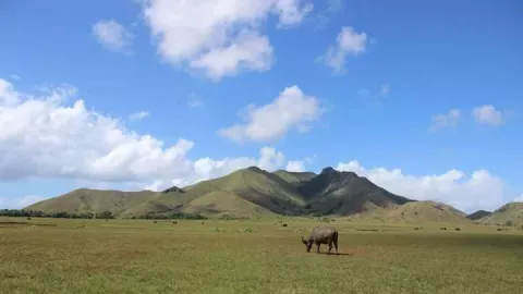 Pulau Moa, Destinasi Afrika Rasa Lokal di Timur Indonesia - GenPI.co