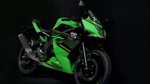 Kawasaki Ninja 250SL Livery KRT Istimewa, Harganya Bikin Menganga - GenPI.co