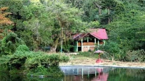 Asyiknya Berendam Air Panas di Tengah Hutan di Lombongo Gorontalo - GenPI.co