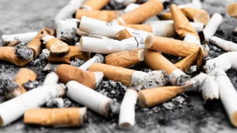 Cukai Rokok Naik 2020, Marlboro jadi Rp 52 Ribu! Benarkah? - GenPI.co
