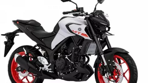 Tampilan Yamaha MT-25 Terbaru Gahar, Harganya Sangar - GenPI.co