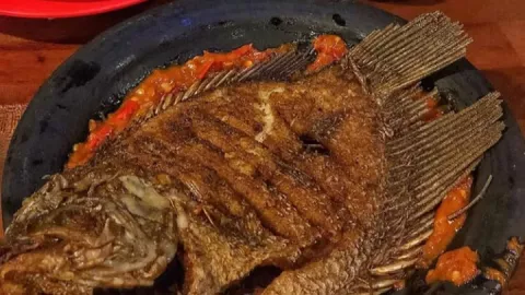 Lezatnya Ikan Gurame Juga Baik untuk Ibu Hamil - GenPI.co