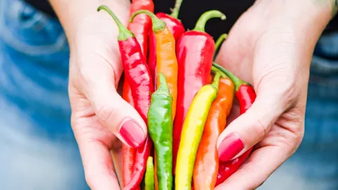 Perempuan yang Hobi Makan Pedas, Suka Akan Tantangan - GenPI.co