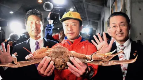 Wow, Kepiting ini Laku Seharga Setengah Miliar Rupiah Lebih - GenPI.co