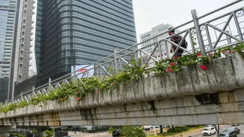 Pandji Jadi Trending Karena Komentari JPO Sudirman Tak Beratap - GenPI.co