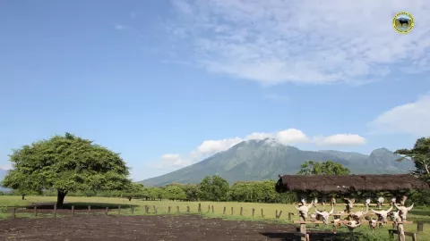 Taman Nasional Baluran, Miniatur Afrika di Timur Jawa - GenPI.co