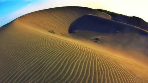 Gumuk Pasir Parangkusumo, Spot yang Cocok untuk Sandboarding - GenPI.co