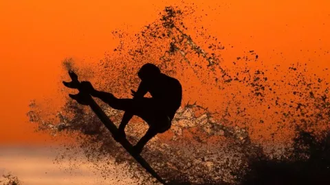 Ngeri, Peselancar Diserang Hiu Hingga Tewas  - GenPI.co