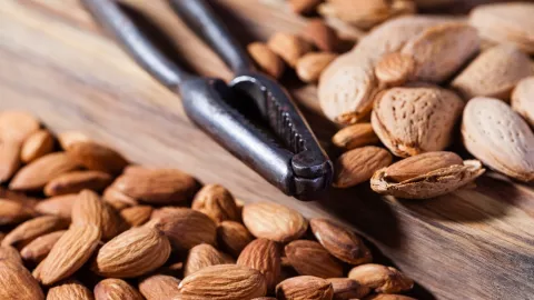 Jika Tubuhmu Kurang Zat Besi, kacang-kacangan ini Bisa Membantu - GenPI.co